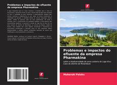 Couverture de Problemas e impactos do efluente da empresa Pharmakina