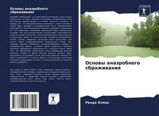 Bookcover of Основы анаэробного сбраживания