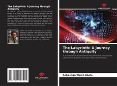 Bookcover of The Labyrinth: A Journey through Antiquity