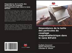 Couverture de Dépendance de la taille des particules du couplage magnétoélectrique dans le nano BiFeO3