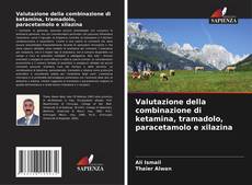 Bookcover of Valutazione della combinazione di ketamina, tramadolo, paracetamolo e xilazina