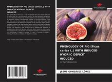 Bookcover of PHENOLOGY OF FIG (Ficus carica L.) WITH INDUCED HYDRIIC DEFICIT INDUCED