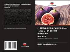 Couverture de PHÉNOLOGIE DU FIGUIER (Ficus carica L.) EN DÉFICIT D'HYDRIUM INDUCED