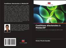 Couverture de Coalitions électorales à Matão/SP