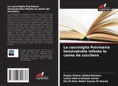 Portada del libro de La cocciniglia Pulvinaria tenuivalvata infesta la canna da zucchero