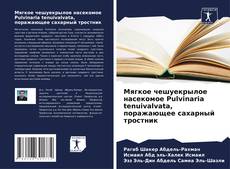 Мягкое чешуекрылое насекомое Pulvinaria tenuivalvata, поражающее сахарный тростник的封面