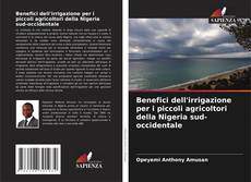 Portada del libro de Benefici dell'irrigazione per i piccoli agricoltori della Nigeria sud-occidentale