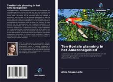 Bookcover of Territoriale planning in het Amazonegebied