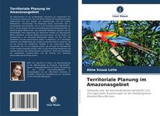 Bookcover of Territoriale Planung im Amazonasgebiet