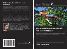 Portada del libro de Ordenación del territorio en la Amazonia