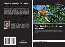 Bookcover of Territorial planning in the Amazon