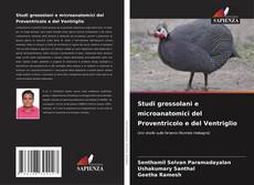 Обложка Studi grossolani e microanatomici del Proventricolo e del Ventriglio