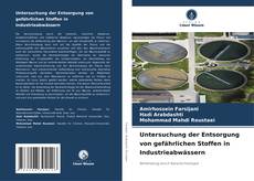 Bookcover of Untersuchung der Entsorgung von gefährlichen Stoffen in Industrieabwässern