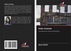 Portada del libro de Índia cinzenta