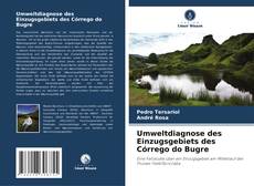 Bookcover of Umweltdiagnose des Einzugsgebiets des Córrego do Bugre