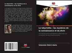 Couverture de Le labyrinthe : les mystères de la connaissance et du divin