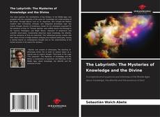 Copertina di The Labyrinth: The Mysteries of Knowledge and the Divine