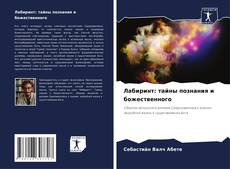 Лабиринт: тайны познания и божественного kitap kapağı