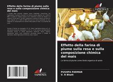 Copertina di Effetto della farina di piume sulla resa e sulla composizione chimica del mais