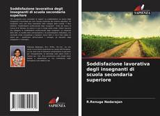 Bookcover of Soddisfazione lavorativa degli insegnanti di scuola secondaria superiore