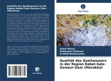 Bookcover of Qualität des Quellwassers in der Region Rabat-Sale-Zemour-Zaer (Marokko)