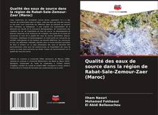 Couverture de Qualité des eaux de source dans la région de Rabat-Sale-Zemour-Zaer (Maroc)