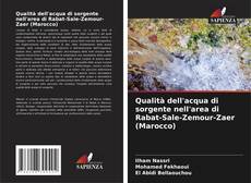 Bookcover of Qualità dell'acqua di sorgente nell'area di Rabat-Sale-Zemour-Zaer (Marocco)