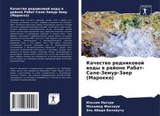 Обложка Качество родниковой воды в районе Рабат-Сале-Земур-Заер (Марокко)