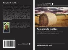 Bookcover of Rompiendo moldes