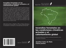 Portada del libro de Incendios forestales en las condiciones climáticas actuales y el calentamiento global