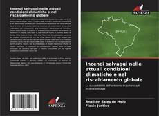 Portada del libro de Incendi selvaggi nelle attuali condizioni climatiche e nel riscaldamento globale