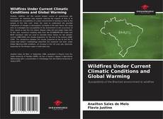 Bookcover of Wildfires Under Current Climatic Conditions and Global Warming