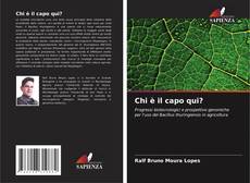 Portada del libro de Chi è il capo qui?