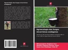 Portada del libro de Agroecologia dos fungos micorrízicos endógenos