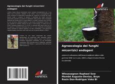 Portada del libro de Agroecologia dei funghi micorrizici endogeni