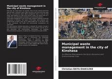 Bookcover of Municipal waste management in the city of Kinshasa