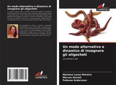 Bookcover of Un modo alternativo e dinamico di insegnare gli oligocheti