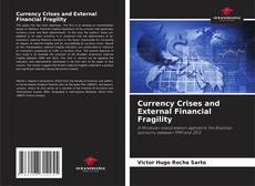 Bookcover of Currency Crises and External Financial Fragility