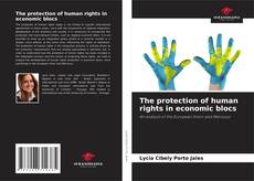 Bookcover of The protection of human rights in economic blocs