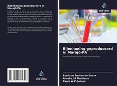 Portada del libro de Bijenhoning geproduceerd in Marajó-PA