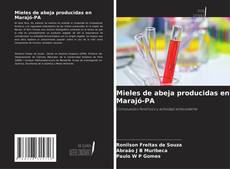 Bookcover of Mieles de abeja producidas en Marajó-PA