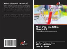 Bookcover of Mieli d'api prodotti a Marajó-PA