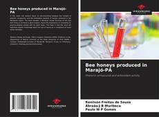 Bookcover of Bee honeys produced in Marajó-PA