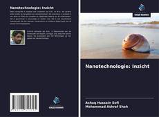 Portada del libro de Nanotechnologie: Inzicht