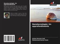 Portada del libro de Nanotecnologie: Un approfondimento