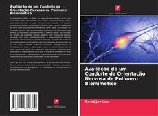 Bookcover of Avaliação de um Conduíte de Orientação Nervosa de Polímero Biomimético