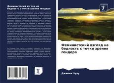Bookcover of Феминистский взгляд на бедность с точки зрения гендера