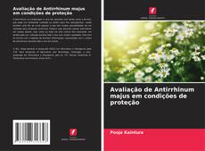 Bookcover of Avaliação de Antirrhinum majus em condições de proteção