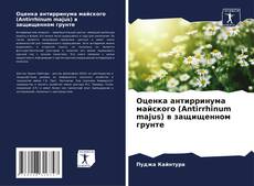 Bookcover of Оценка антирринума майского (Antirrhinum majus) в защищенном грунте