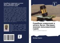 Bookcover of Судебная коррупция в штате Лагос, Нигерия: мнения пользователей судов